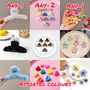 Imported korean assorted hair claws set of 4